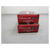 Federal 380 Auto, 100 rds