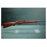 Ruger 10-22 Magnum (Rare)
