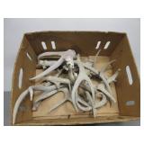 Antlers