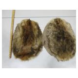 Two Beaver Pelts