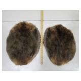 Two Beaver Pelts