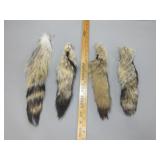 Four Fox Tails