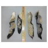 Four Fox Tails