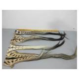Four Zebra Tails