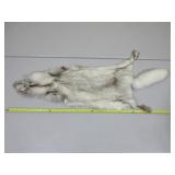Fox Pelt