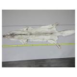 Fox Pelt