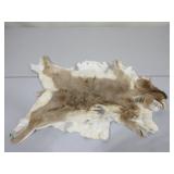 Antelope Hide