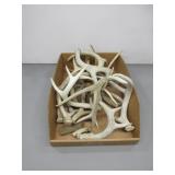 Antlers
