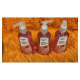 3 bottles Antibacterial hand soap watermelon scent
