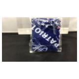 NFL New England Patriots back gator