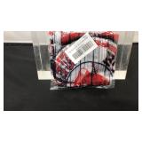 MLB Boston Red Socks neck gator