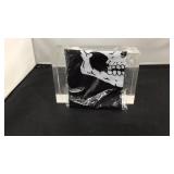 Black and gray skeleton head neck gator