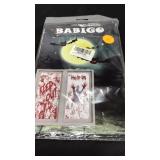 Halloween window covering