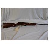 Marlin Glenfield Mod 25 22 S-L-LR