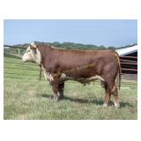 RR 34J E158 NICHOLAS 315N