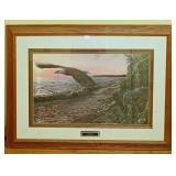 John McFaul Wildlife Print "Superior"