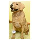 A Life Like Yellow Labrador