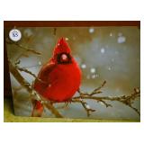 A Decorative Bird Photo
