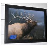 A Decorative Elk Print.