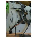 Compound Bows