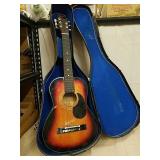 Omni guitar in case