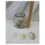 Glass fish bowl full of sand dollars Glass fish bowl full of sand dollars