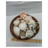 Basket full of seashells Basket full of seashells