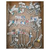 Various sizes of eye bolts