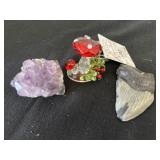 Fossil Shark Tooth, amethyst cluster, and The
