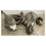 Group of Duck Decoys