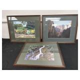 3 Framed Outdoor Decor Prints 17x21
