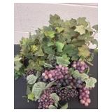 Grape vine with grapes