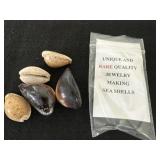 Jewelry Quality Sea Shells