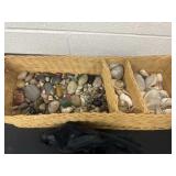 Group of rocks and seashells and a black bird