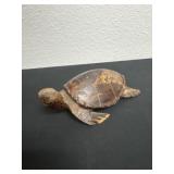 6ï¿½ iron wood turtle