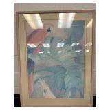 37x29 Cute Framed Parrot Picture
