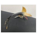 VINTAGE FOLK ART HAND CARVED BULL HORN FISH  15ï¿½