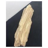 18ï¿½ petrified wood