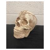 6ï¿½ skull