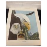 24ï¿½x21ï¿½ sovereign majestic eagle copy right 1986