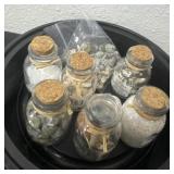 Group of shells with jars