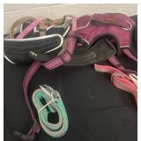 Group of leashes and harnesses