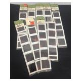 Vintage Walt Disney nature series pans vue slides