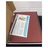 12 Blue and maroon Classification Folders with