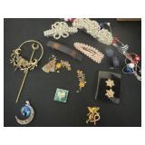 Group of hair clips and earrings