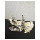 7ï¿½ replica of a Triceratops skull