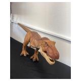 41ï¿½ t Rex dinosaur