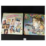 Vinyl Record Albums - 23 count