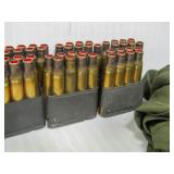 .30 Cal Brass with primers