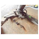 NEWHOUSE #5 BEAR TRAP WITH SETTING TOOLS